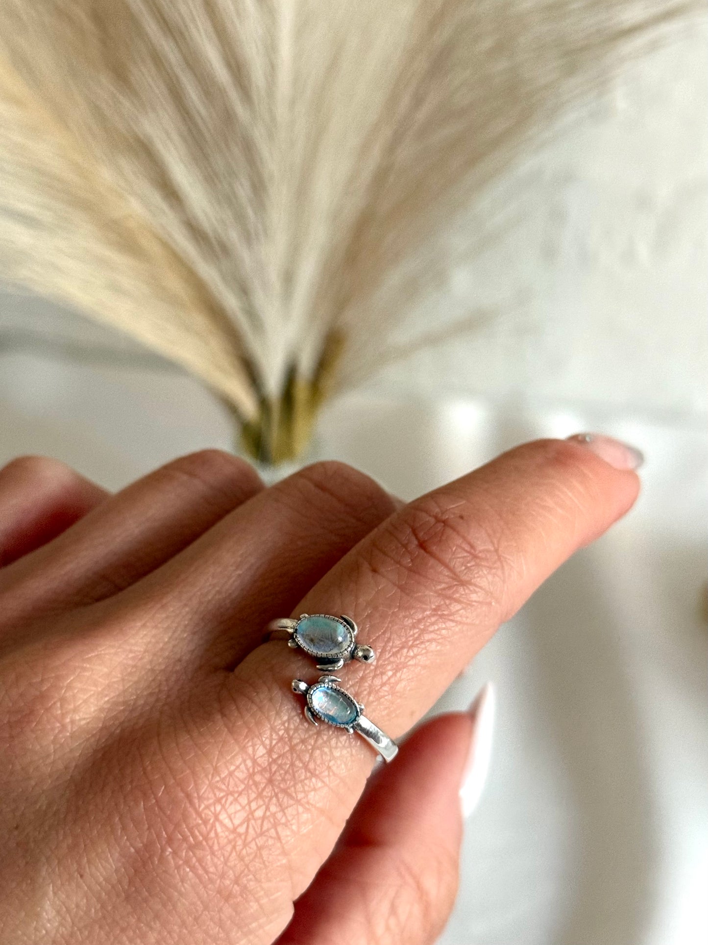 Anillo tortugas