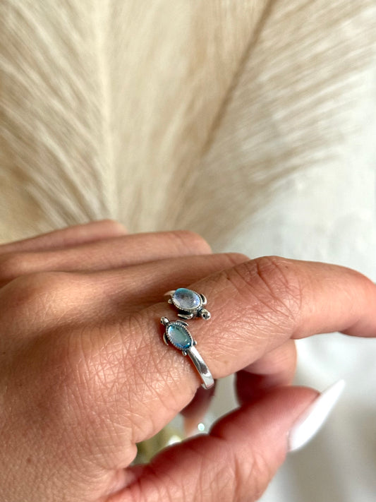 Anillo tortugas